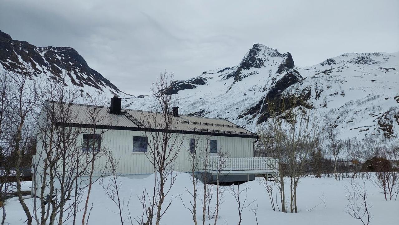 Holiday Home On Senja Senjahopen エクステリア 写真