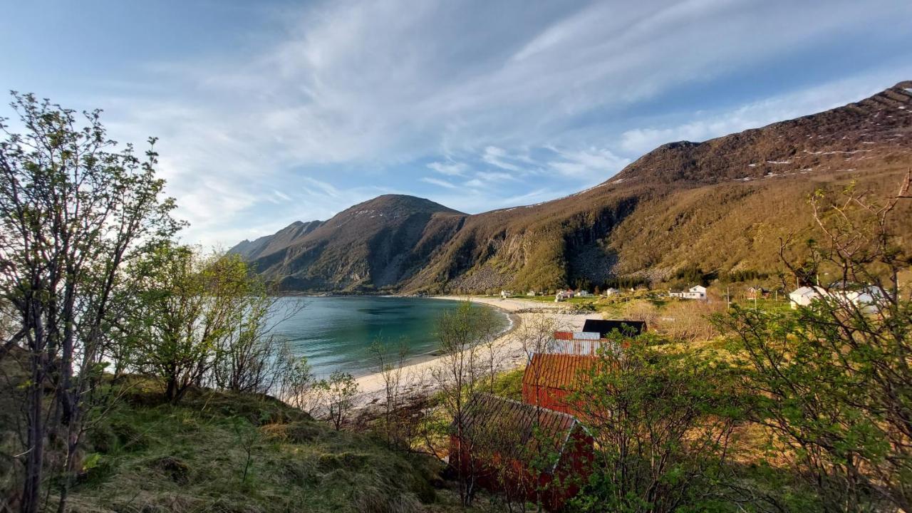 Holiday Home On Senja Senjahopen エクステリア 写真