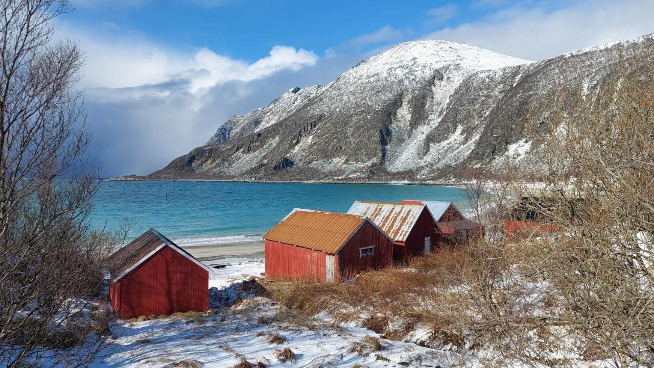 Holiday Home On Senja Senjahopen エクステリア 写真