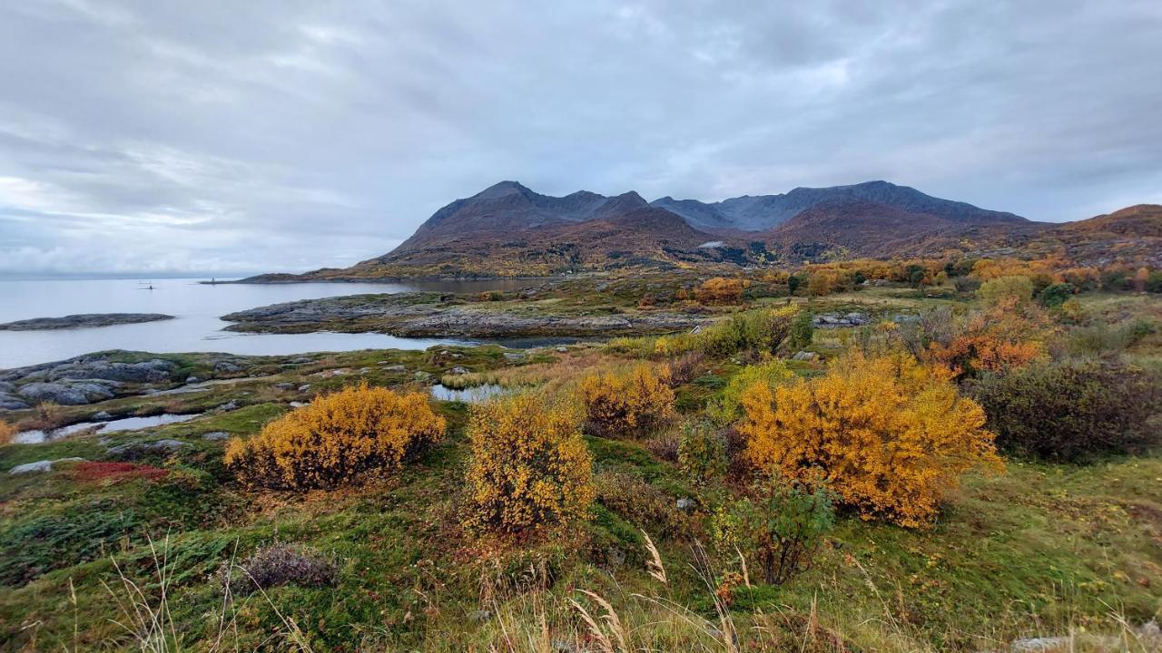 Holiday Home On Senja Senjahopen エクステリア 写真