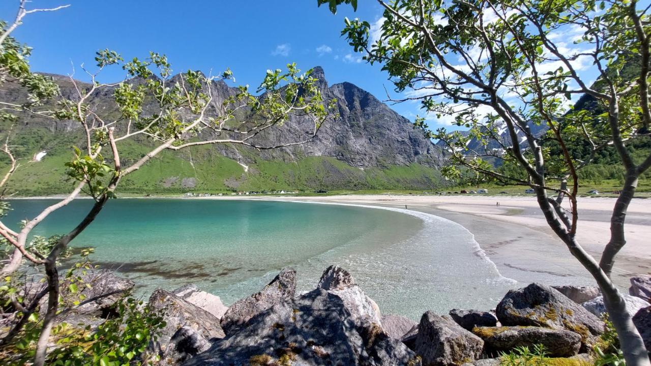 Holiday Home On Senja Senjahopen エクステリア 写真