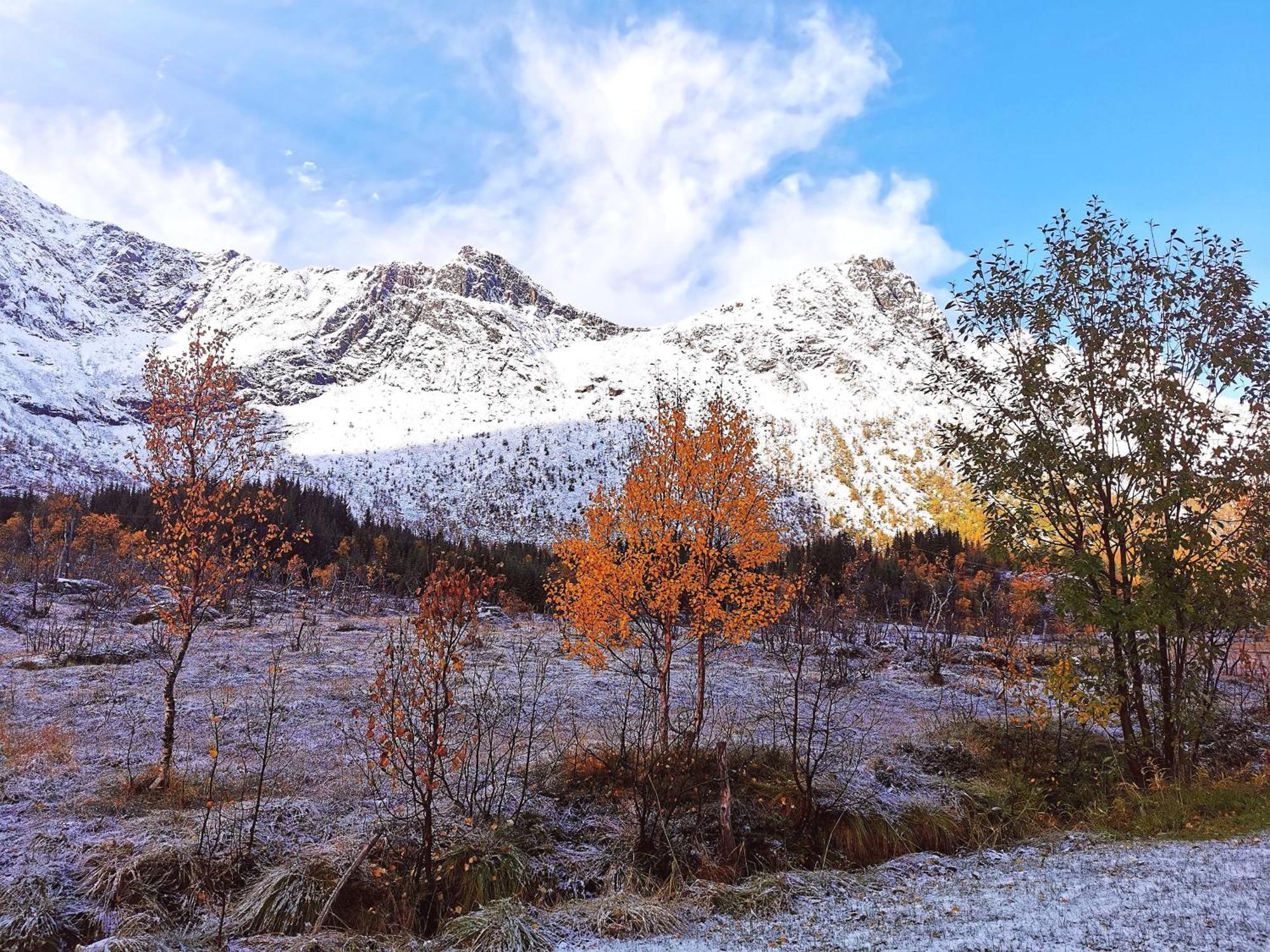 Holiday Home On Senja Senjahopen エクステリア 写真